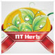 لوگوی شرکت NT Herb